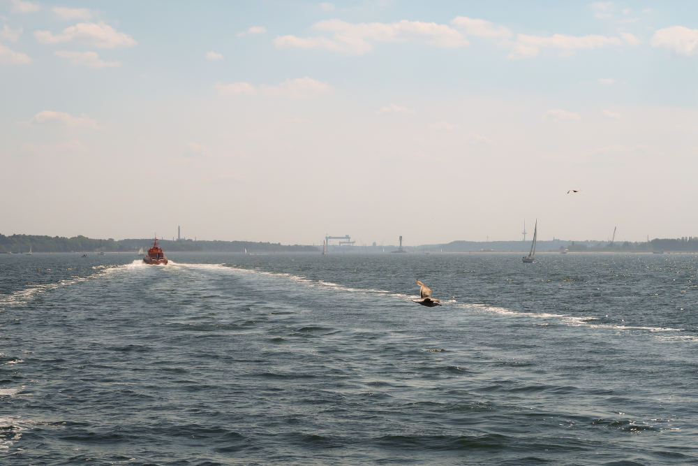 ostsee-hochseeangeln-kiel