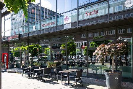 Sakura_Vorschau_Klein