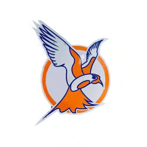 Skydive kiel logo Fallschirmspringen