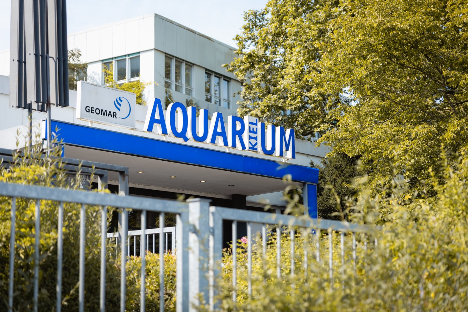 kiellinie aquarium kiel Kiel mit Kindern