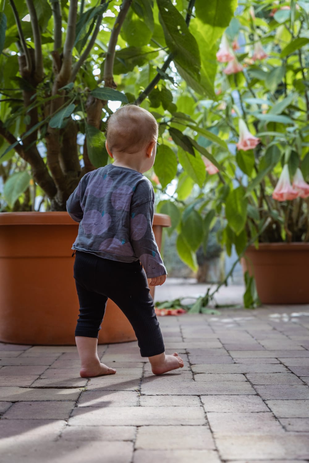 kind botanischer garten kiel Kiel mit Kindern