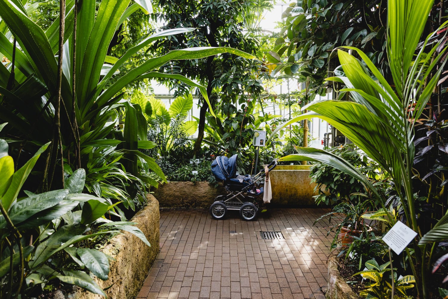 kinderwagen botanischer garten kiel Kiel mit Kindern