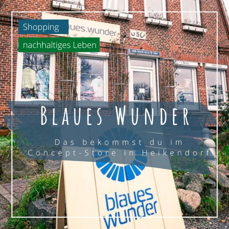 blaues wunder heikendorf vorschaubild Ehrenamtspreis Stadtwerke Kiel