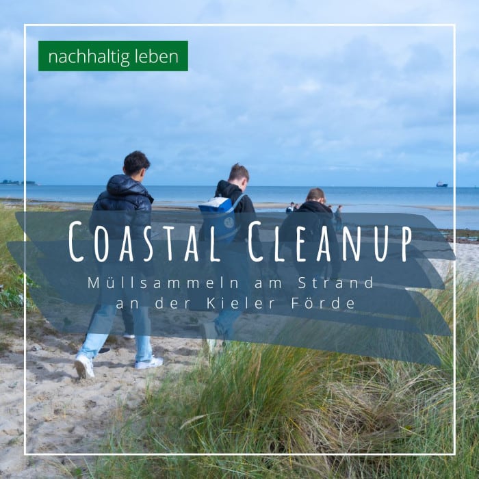 coastal cleanup day kiel Magazin