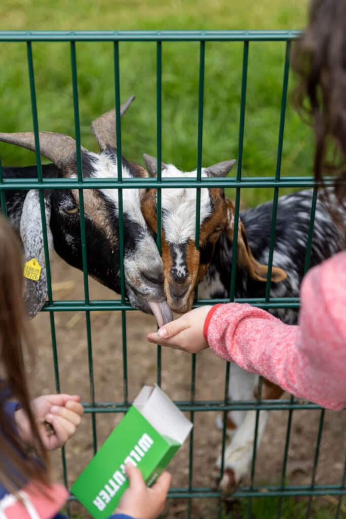 wildpark kiel Kiel mit Kindern