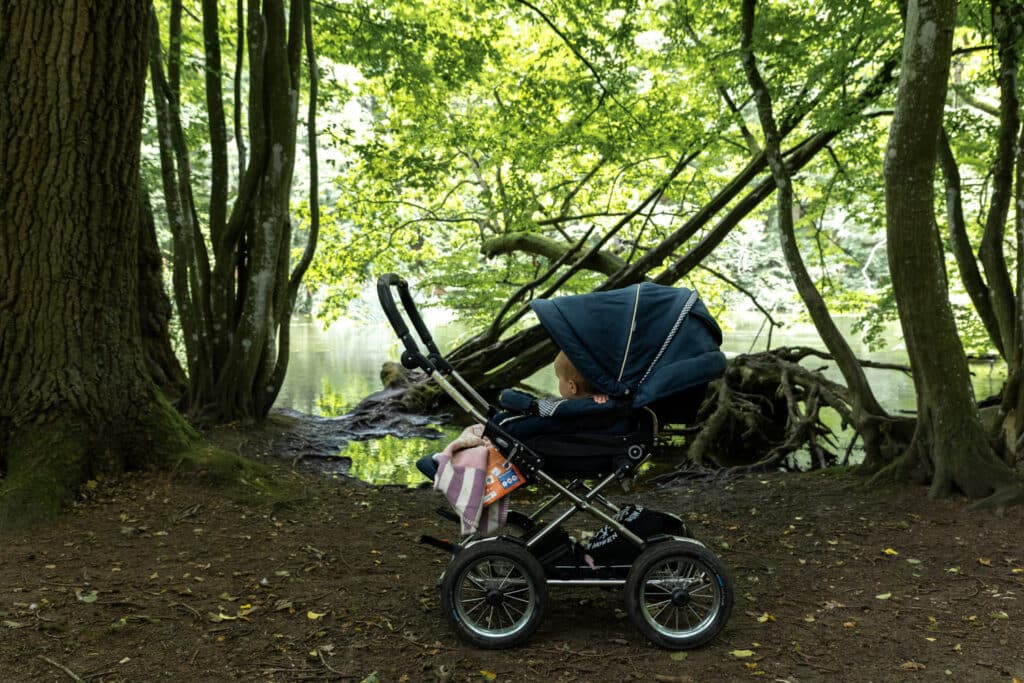 wildpark kinder Kiel mit Kindern