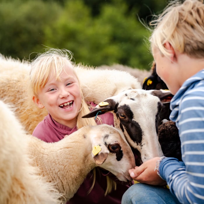kindergeburtstag arche warder Kindergeburtstag Kiel