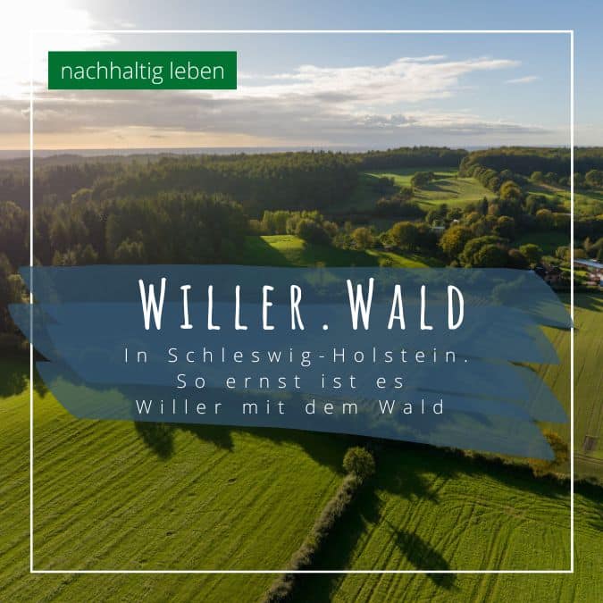 willer wald vorschau Alles was du in Kiel machen kannst - Veranstaltungen, Ausflüge, Restaurants